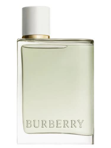 burberry for her eau de toilette|burberry her eau toilette 2022.